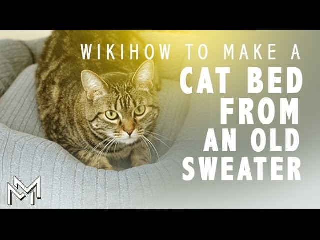 How to Make a Cat And Dog Beds of sweaters and pillows