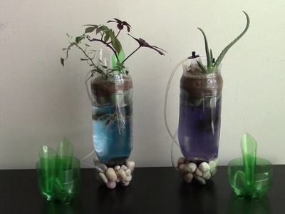 Aquaponics planter of plastic bottle DIY