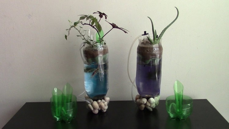 Aquaponics planter of plastic bottle DIY