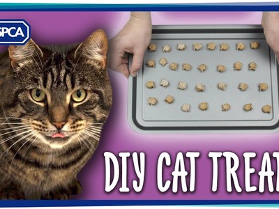 DIY Cat Treats