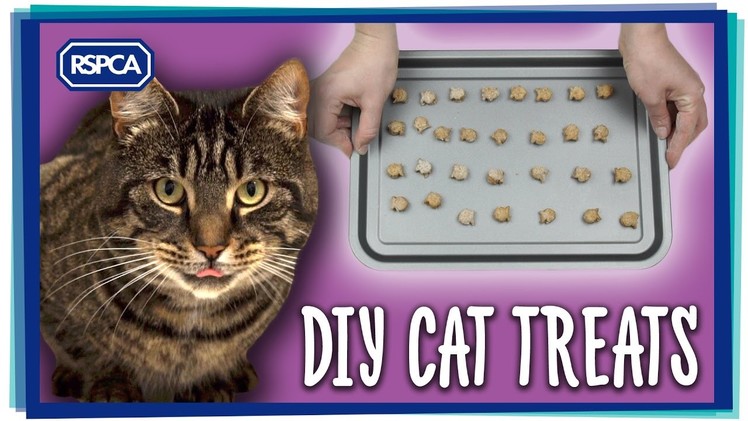DIY Cat Treats