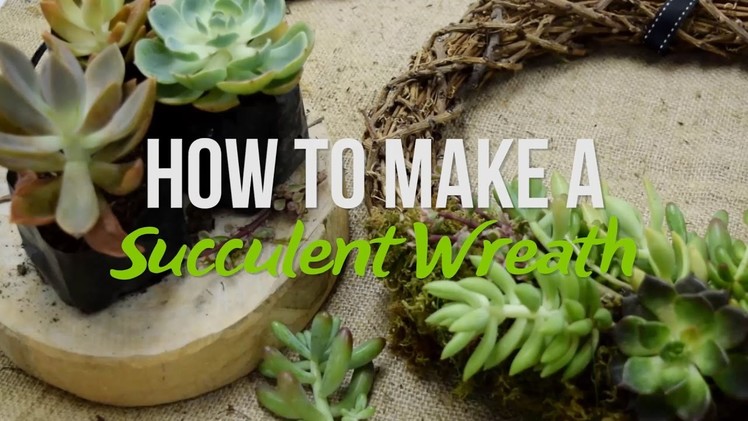 DIY: Succulent Wreath
