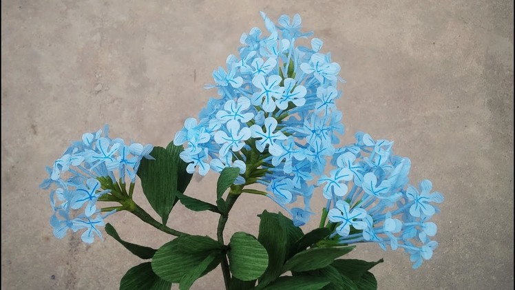 How To Make Plumbago Auriculata Flower From Crepe Paper - Craft Tutorial