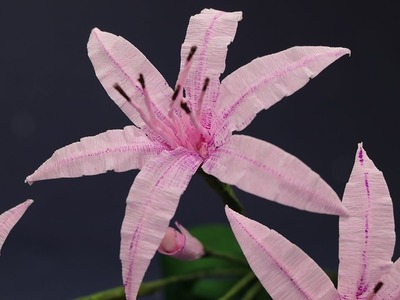 Paper Flower-  Nerine Lily Crepe Paper Flower Craft Tutorial