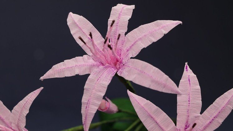 Paper Flower-  Nerine Lily Crepe Paper Flower Craft Tutorial