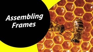 How To Make A Beehive Frame For Dummies