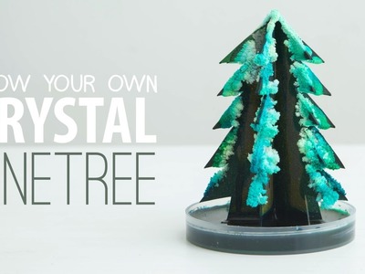 Grow a Crystal Tree DIY