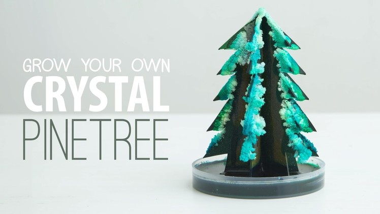 Grow a Crystal Tree DIY