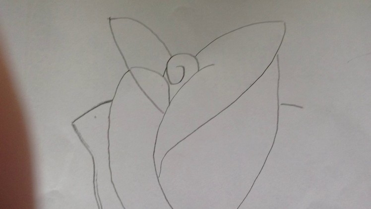 How to draw a rose by Amelia and Emily