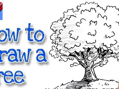 How to Draw a Tree Real Easy