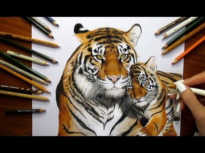 Colored Pencil Drawing: Tigress and Tiger Cub - Speed Draw | Jasmina Susak