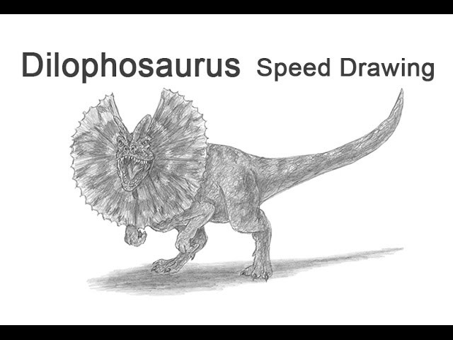 Dilophosaurus from Jurassic Park Time-lapse (Speed) Drawing