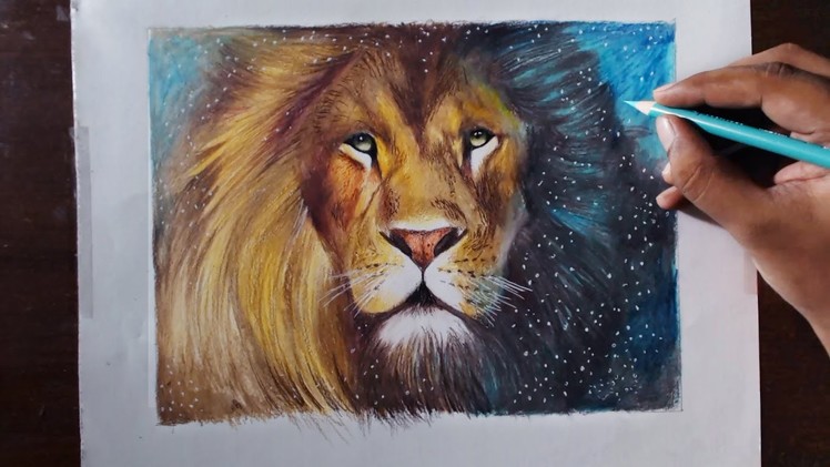 Drawing A Lion (Aslan) - Animal series 3 - Prismacolor pencils