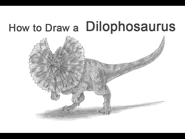 How to Draw a Dilophosaurus from Jurassic Park