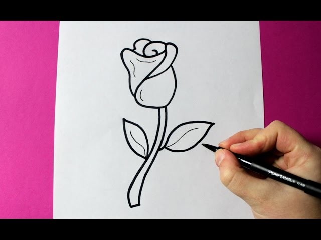 How to Draw a Rose - Como Dibujar una Rosa | EASY - FACIL
