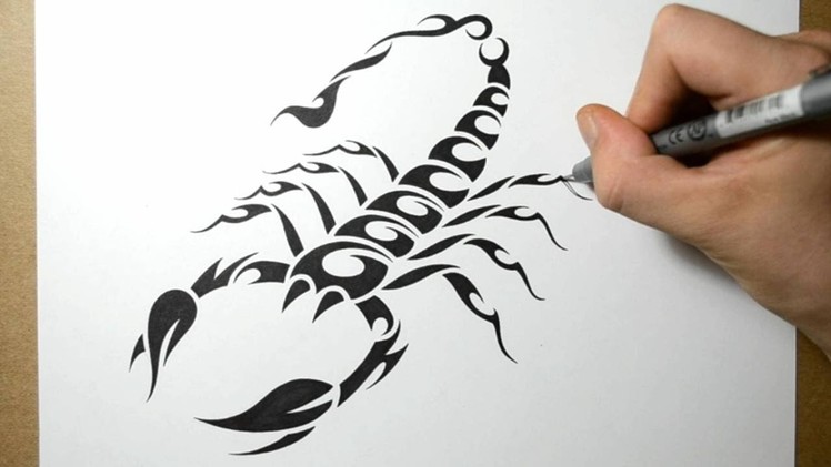 How to Draw a Scorpion - Tribal Tattoo Design Style