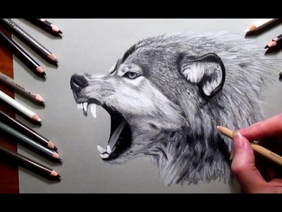 How to Draw a Wolf Pencil #drawing | Jasmina Susak Speed drawing of a wolf