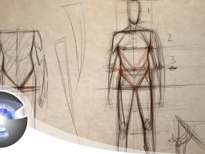 How to Draw the Proportions of the Adult Male