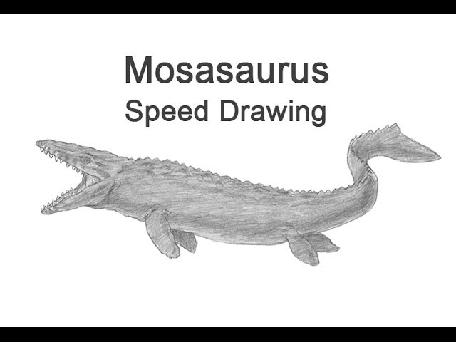 Как рисовать мозазавра