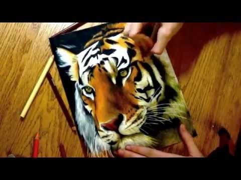 Realistic Colored Pencil Drawing of a Tiger