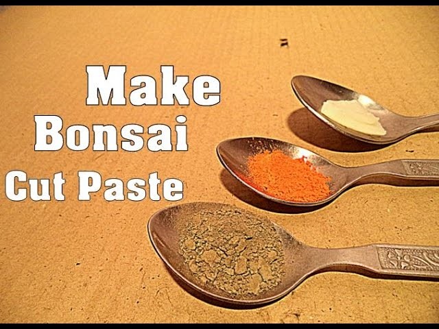 How to Make Bonsai Cut Paste at Home. 3 Simple Way to Make Own Cut Paste. Tips . Mammal Bonsai