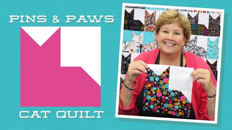 Make an Easy Pins & Paws Quilt with Jenny!