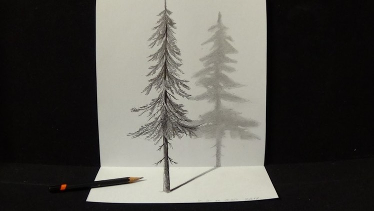 Pine Tree, Drawing 3D Illusion with Graphit Pencil