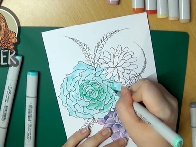 Copic Marker Succulents Drawing