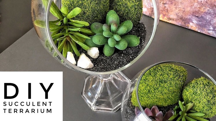 DIY | Succulent Globe Terrarium | Easy  & Inexpensive