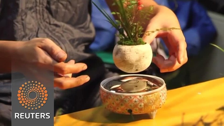 Bonsai trees 'float' using magnetic levitation