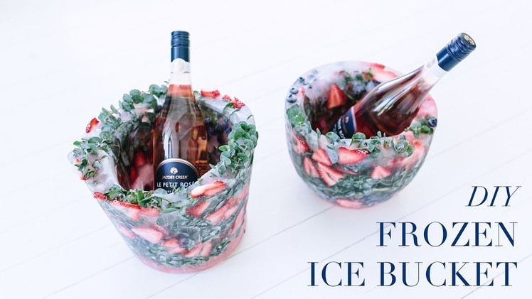 DIY Frozen Ice Bucket.  Add fruit, flowers and leaves!