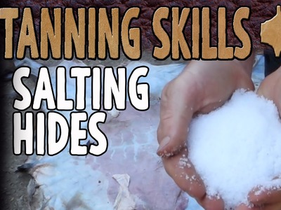 Preserving Hides for Tanning, Salt, Dry or Freeze? How To
