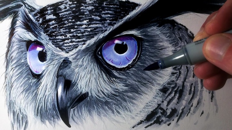 Drawing an Owl with Copic Markers - Time Lapse