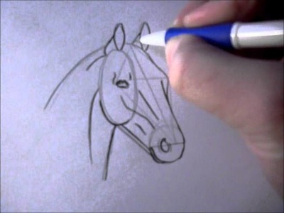 How to draw a simple horsehead
