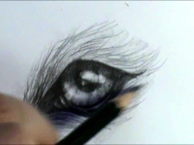 How to draw a wolf eye