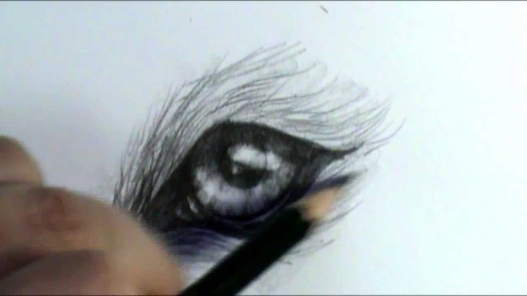 How to draw a wolf eye