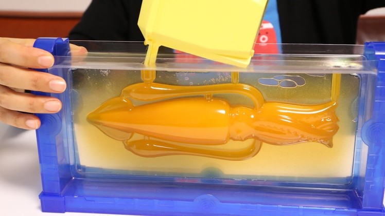 Giant Squid.Architeuthis dux Gummy Making Kit 【Cooking Toy】