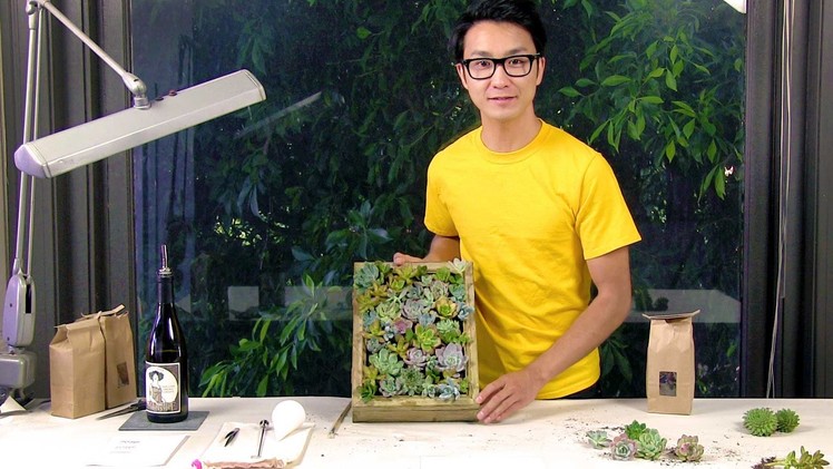 How To Make A Living Picture Frame With Succulents