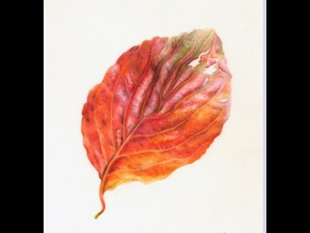 Painting Watercolor Autumn Leaf