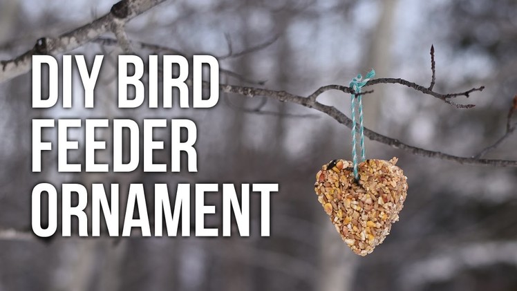 Tip Tuesday: DIY Bird Feeder Ornament Kids Craft