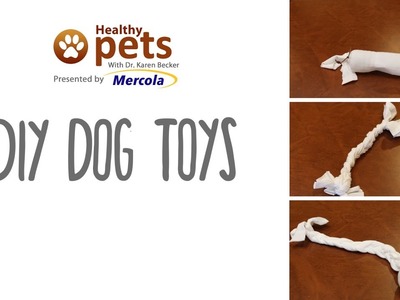 DIY Dog Toys