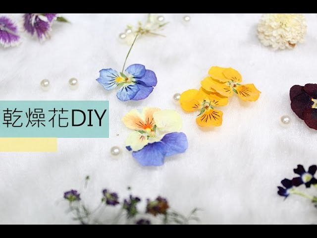 How to Dry Flowers 乾燥花DIY