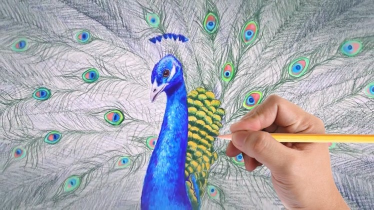 How to draw peacock with colored pencils, Please do Watch in HD Quality.