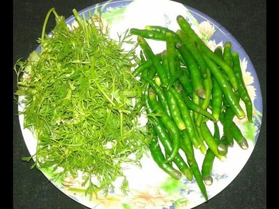 How to store Green Chillies & Green Coriander By Ayesha - www.ayeshasworld.com