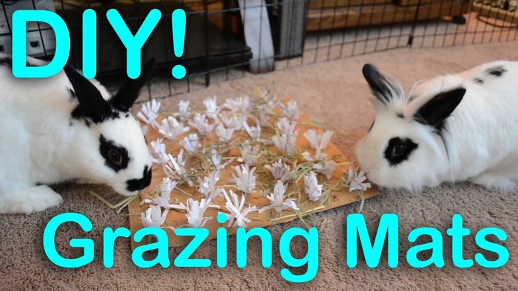 Grazing Mats for Chewing | DIY Bunny Toy