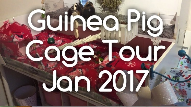 DIY Guinea Pig Cage Tour January 2017 - Winter Themed Fleece! Piggiepigpigs!