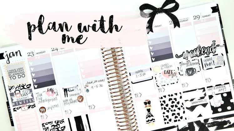 Plan with Me ft. Paper Dove Shop!