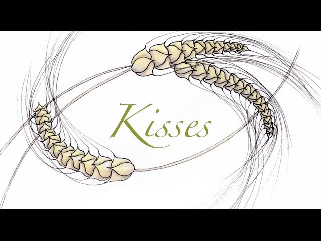 Kisses Tangle Pattern
