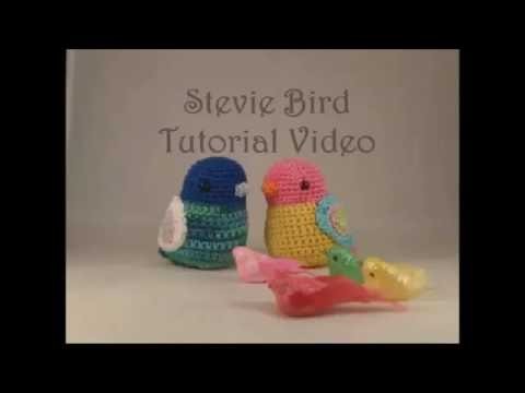 Stevie Bird video complete new