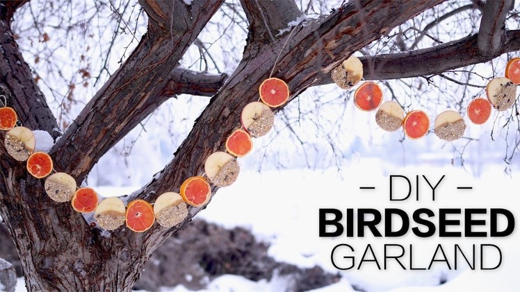 DIY Birdseed Garland. Garden Answer